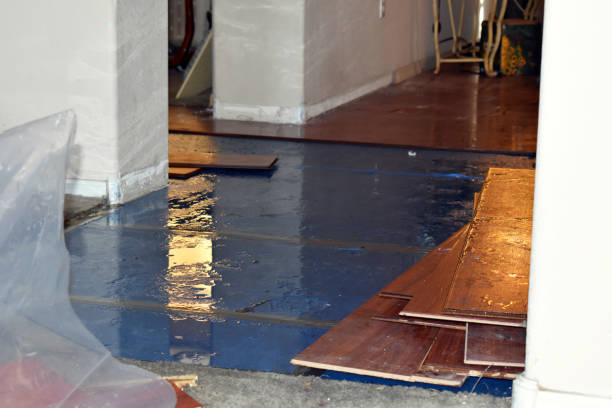 Professional Sewage Cleanup technician working in Dilley, TX